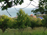 02_dsc04315
